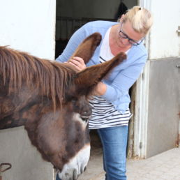 Tiertherapeutin für Tierkommunikation Eva Pfyffer Huf und Tatze Tiertherapie Tierkommunikation