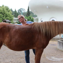 Tiertherapeutin für Tierkommunikation Eva Pfyffer Huf und Tatze Tiertherapie Tierkommunikation